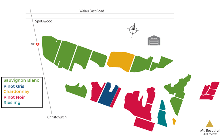 Vineyard map with color coded legend showing where each varietal is grown